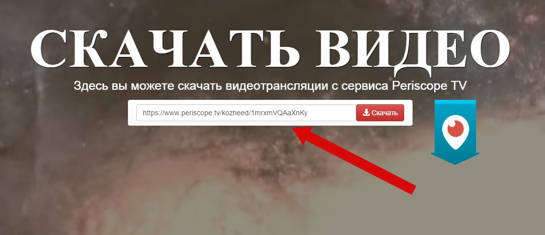 сохранение видео с помощью сервиса naperiscope.ru